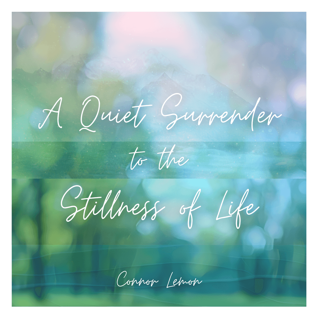 A Quiet Surrender to the Stillness of Life Album Art